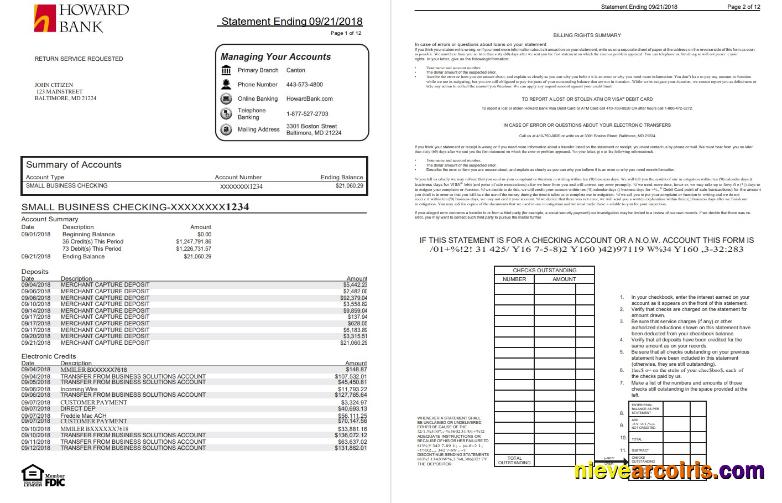 USA Maryland Howard Business bank statement, Word and PDF format (.doc and .pdf) (4 pages)